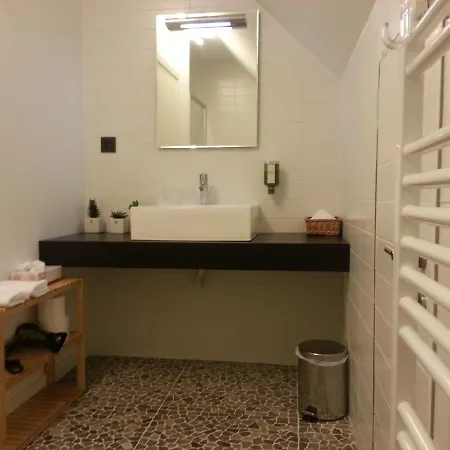 公寓 辉夫勒厅根公寓 根特